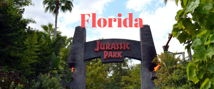 things to do in florida